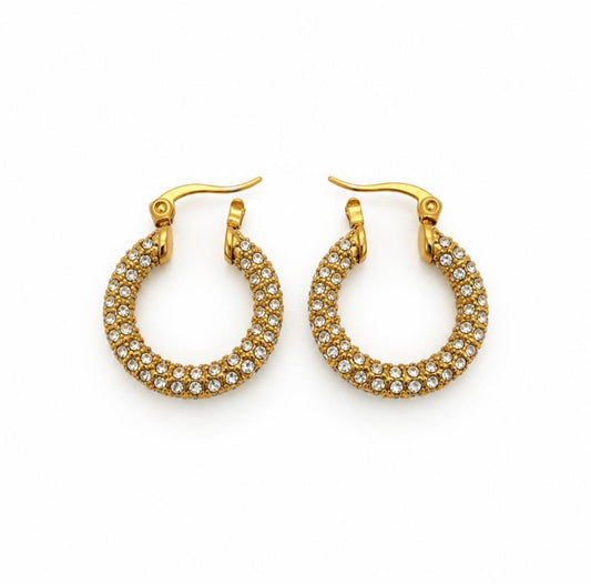 Premium Quality Stainless Steel 18k Aria Glow Earrings